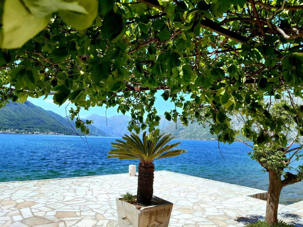 Apartments Sonja Kotor Dış mekan fotoğraf